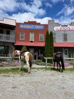 Many places to tie your horse up for nice breaks in between rides.