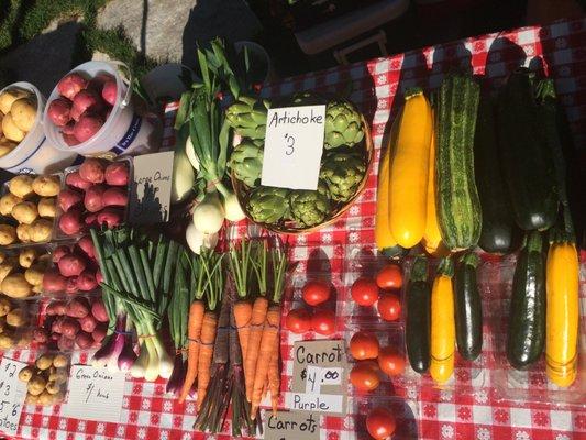 Farmer's Market Thursdays May through October - 45 vendors!