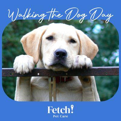 Fetch Pet Care