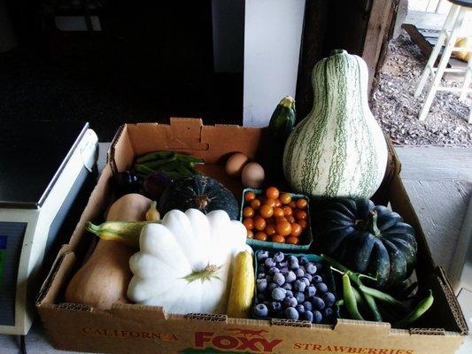 Frozen blueberries and fresh seasonal produce