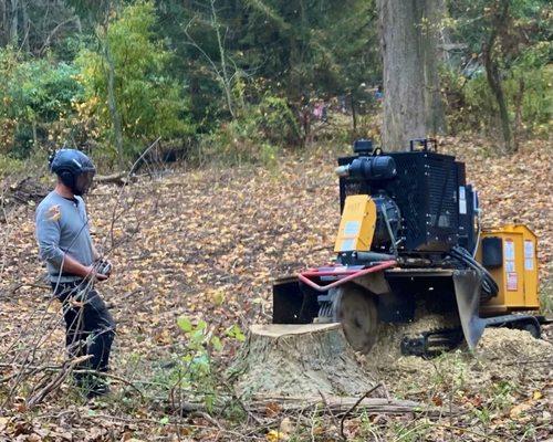 Elite Tree Care -- RC stump grinder