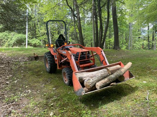 Brush/Small tree removal