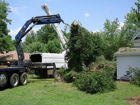 Trimrite Tree Service