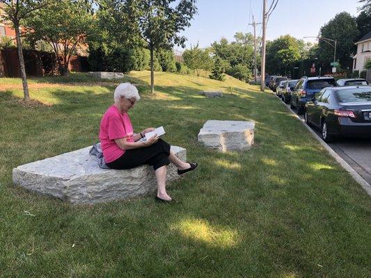 Relaxing on Winnslie Parkway, Ravenswood, Chicago