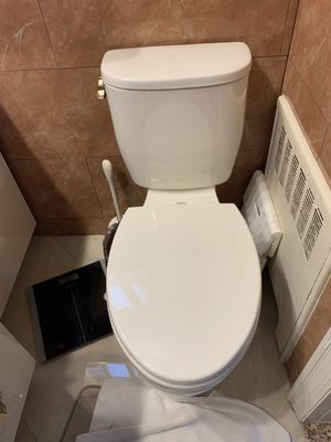 Toto toilet for a small space