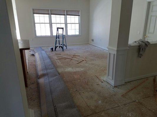 Interior painting and flooring replacement