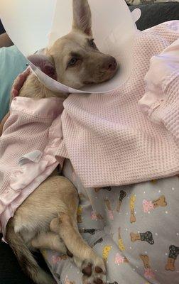 After her surgery.