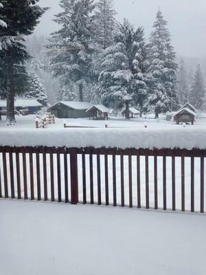 A view of the grounds in the winter