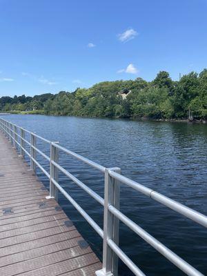 Boardwalk over Lake Williams