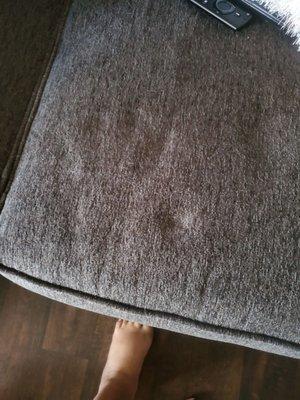 Any touch on sofa leaves marks fabric changing colors