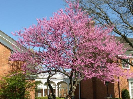 Methodist Theological School In Ohio