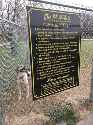 Dog park rules