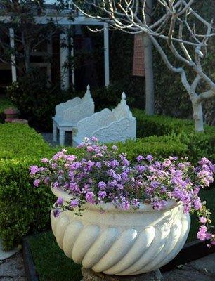 Serene Garden Setting