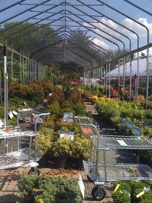 Matawan World of Gardening