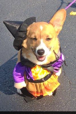 Poppy loves her Haloween costume!