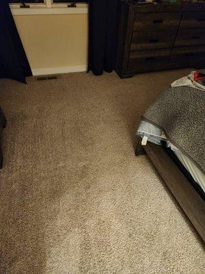 Carpet looks brand new, wish I took a before shot because this after shot is amazing!!!