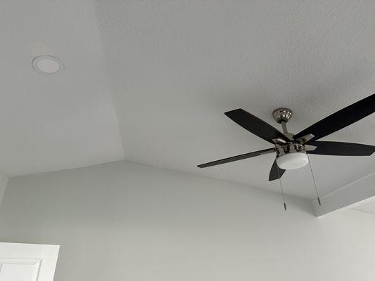 Lighting installation includes ceiling fans