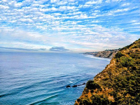 Scripps Coastal Reserve