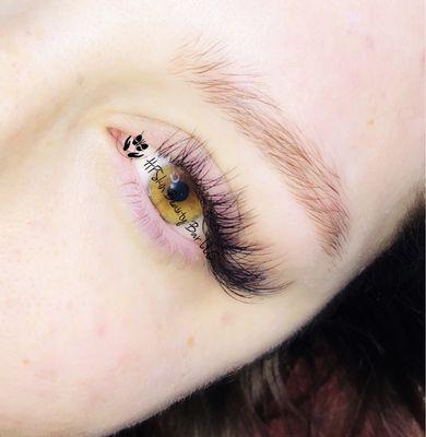 Lash Extensions