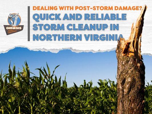 11_Genesis Tree Service_Quick and Reliable Storm Cleanup in Northern Virginia.png