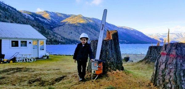 Lake Chelan Tree Service