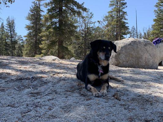 Nikki on a hike.