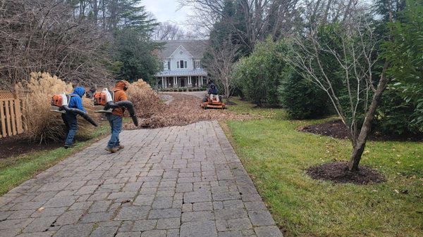 Leaf removal