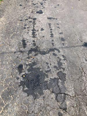 My driveway the day they towed my car back to their shop.