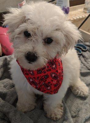 Malitpoo will make you best family members..  Call for that right baby..