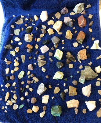 All the gems we found washed and dried at home. We can't wait to display them!