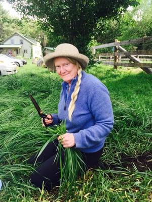 Sandy harvesting Sweetgrass on a cool Adirondack summer morning.