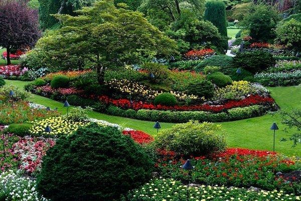 Landscape Design
  Lawn & Garden Care
  Planting
  Mulching
  Lawn Maintenance
 
  (585) 750-5714