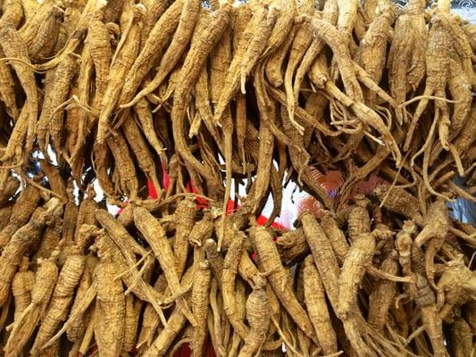 Selected Ginseng 美国威州野生花旗参