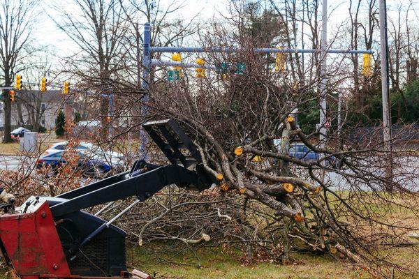 Most of our tree removal business in Louisville comes to us through referrals. Since it is often a one-time service, Turners ...