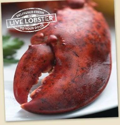 Ourdelivered Lobster is exact replica of picture.