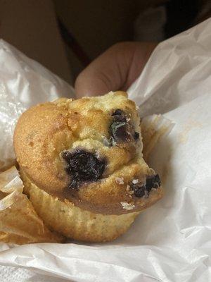 moldy blueberry muffin.