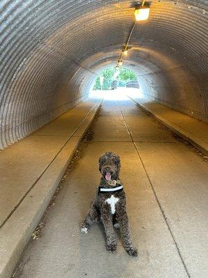 This is the first stop from the parking lot, then you have to walk across the bridge