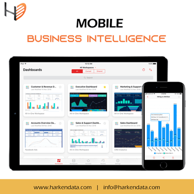 Mobile Business Intelligence