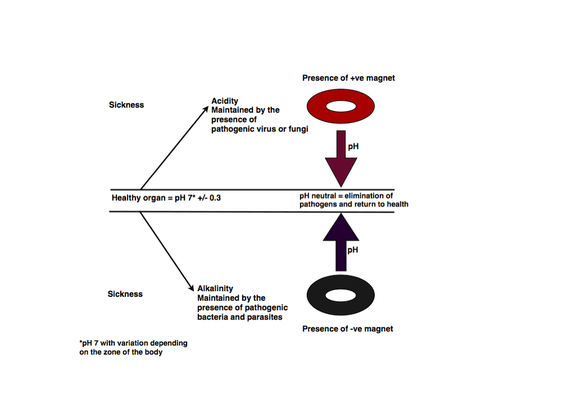 Bio-Psycho-Energetics Therapies