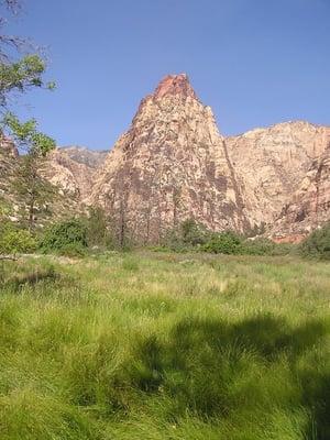 Mescalito Peak as seen across the meadow from the Wilson Homestead foundation.