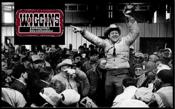 Wiggins Auctioneers LLC