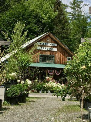 Glebe Mountain Gardens & Landscaping