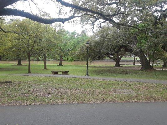 Part of the walking trails and bayou