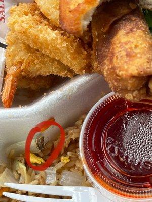 Roach in food