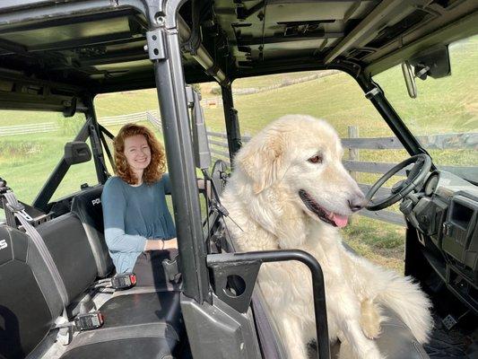 Our Jeep ride with Tilly as co captain!