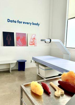 BOD's DEXA scan room