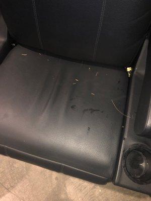 Grass in seat