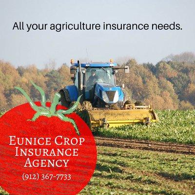 Eunice Crop Insurance Agency