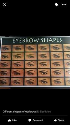 Different shapes of eyebrows.