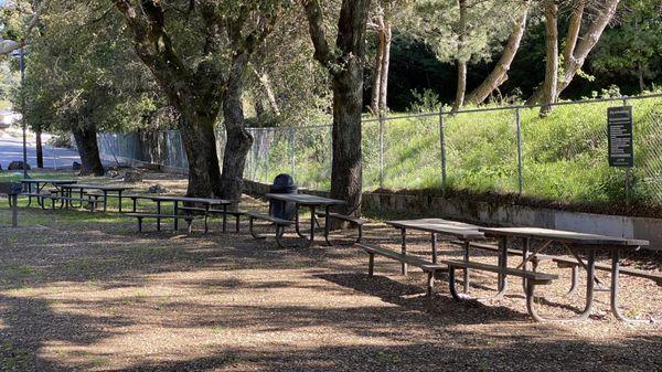 Ample picnic tables